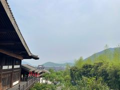 -大唐贡茶院