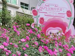 -人民公园(罗湖区)