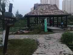 -前关湿地公园