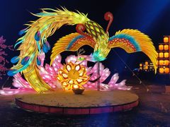 -武汉园博园(武汉自然博物馆)