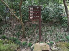 -杭州黄龙洞