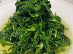 -蜀阳餐厅·金牌水煮鱼