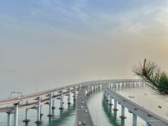 -星海湾跨海大桥