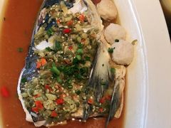 -凤凰湘语·湘粤鲜融(浦东旗舰店)