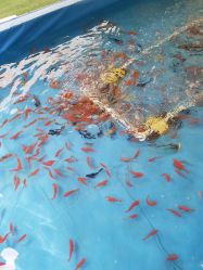 -萌宠亲子动物乐园(槐房万达店)