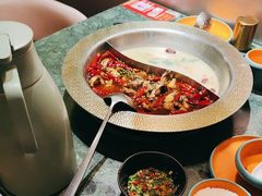 鲜香麻辣牛油鲜茄鸳鸯锅-麻田会 ·鲜活现烹·牛蛙火锅(珠江新城维家思广场店)