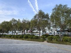 -呼兰河口湿地公园