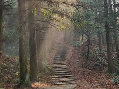 -南岳衡山风景名胜区