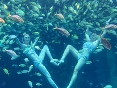 -海合安青岛极地海洋公园