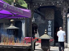 -大槐树寻根祭祖园