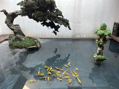 -觀芷隐轩