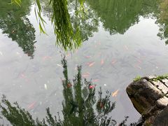 -趵突泉景区