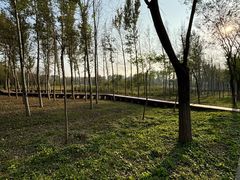 -东郊湿地公园