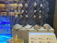 -上海中国航海博物馆