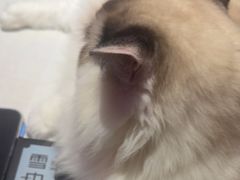 -游人馆·桌游狼人杀团建馆(人广书城店)