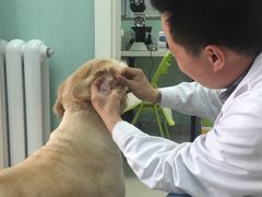 -纳吉亚猫专科动物医院博雅分院