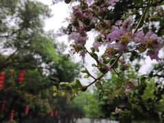 -溪口-滕头旅游景区