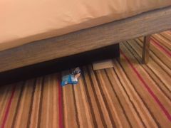 -重庆富力艾美酒店