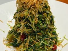 巧拌豆苗-四季民福烤鸭店(王府井东安门店)