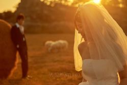 -太古映画婚纱摄影(天河店)