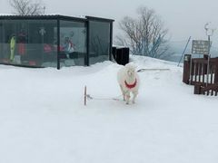 -长白山万达国际滑雪场