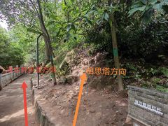 -南山植物园