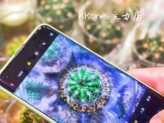 -KKV(深圳kk one 店)