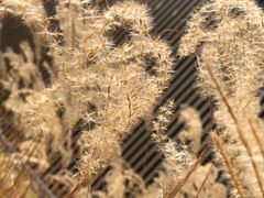 -星巴克(深圳前海企业公馆店)