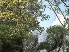 -九龙公园