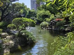 -申粤轩酒楼·三十年粤菜经典(丁香花园店)