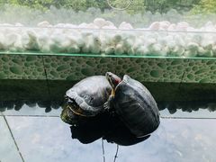 -仙林宾馆-餐厅