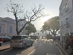 -安德鲁饼店(总店)