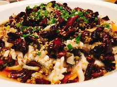 黑鱼花-三猫黑鱼花(南大店)