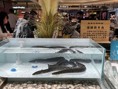 -東盛炭烤自助料理(玄武招商花园城店)
