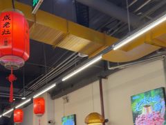 -成老灶火锅鸡(平山店)