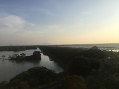 -大湾区中央湿地公园