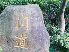 -十八棵（老龙井）御茶园(老龙井店)