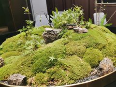 -江仙雅居(中航国际店)
