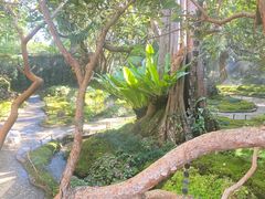 -Chom Cafe and Restaurant