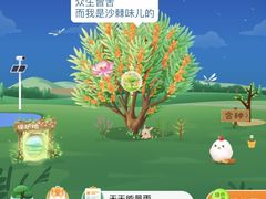 -海底捞火锅(高新万达广场店)