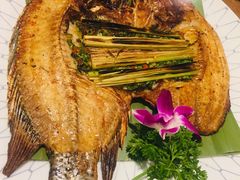 -紫滇源云南生态菜(丹凤街店)