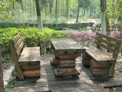 -合肥滨湖国家森林公园