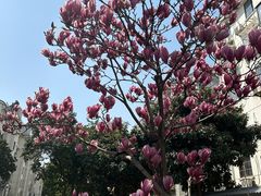 -中海财富中心