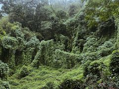 -南京市江宁方山