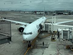 -约翰·菲茨杰拉德·肯尼迪国际机场