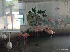 -哈尔滨北方森林动物园