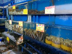 -蚝专家(北滘店)