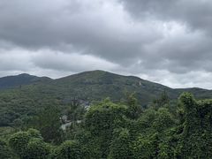 -句容茅山景区