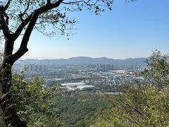 -灵岩山风景区