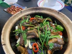 -飞尝蚝·顺德菜·鱼生(顺德总店)